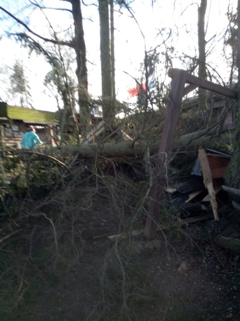 Sturmschäden Xandra 2022