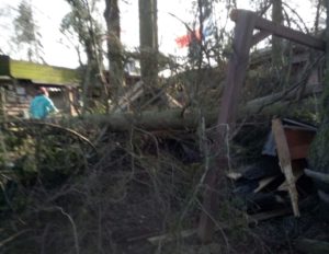 Sturmschäden Xandra 2022